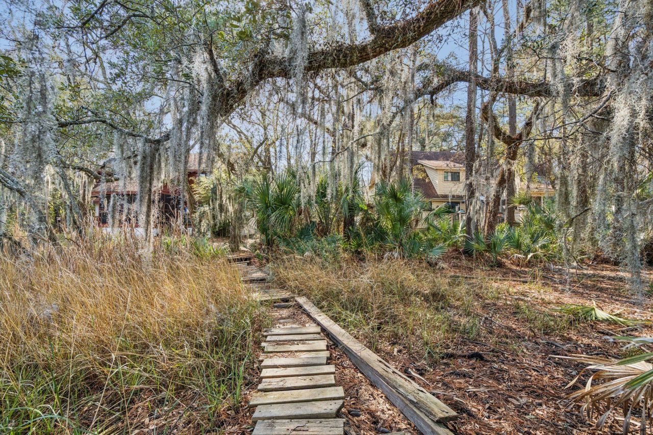 9 Arabian Drive Photo 89