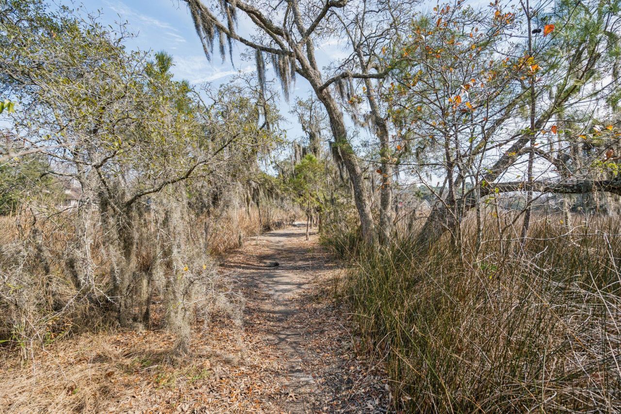 9 Arabian Drive Photo 90