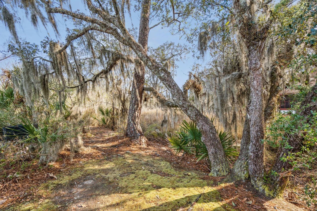 9 Arabian Drive Photo 92