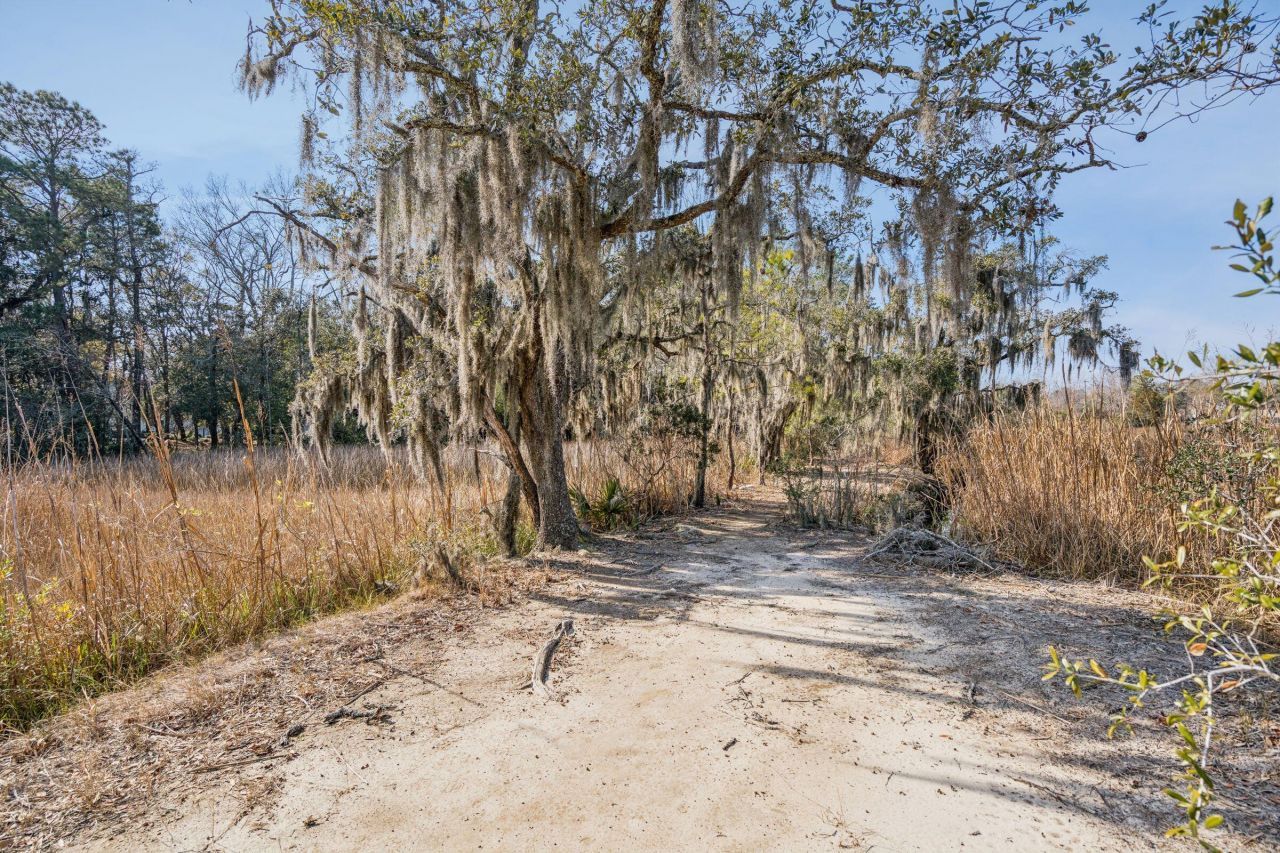 9 Arabian Drive Photo 93