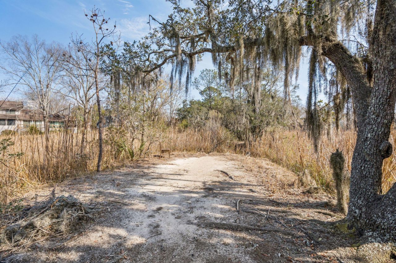 9 Arabian Drive Photo 94