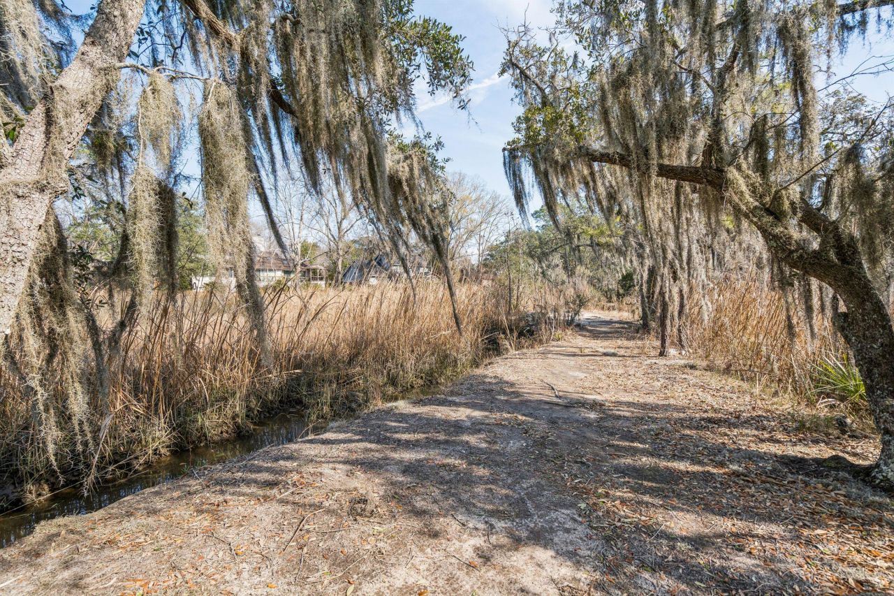 9 Arabian Drive Photo 96