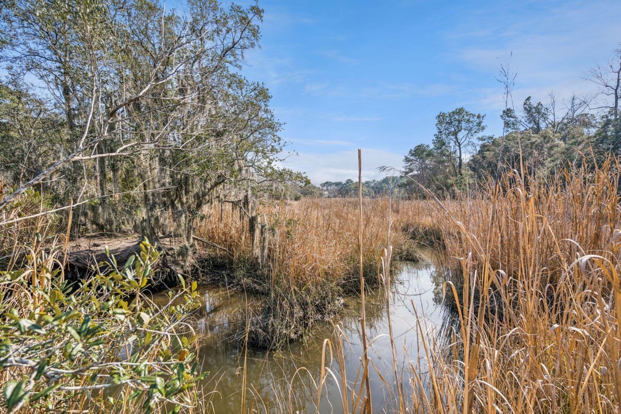 9 Arabian Drive Photo 97