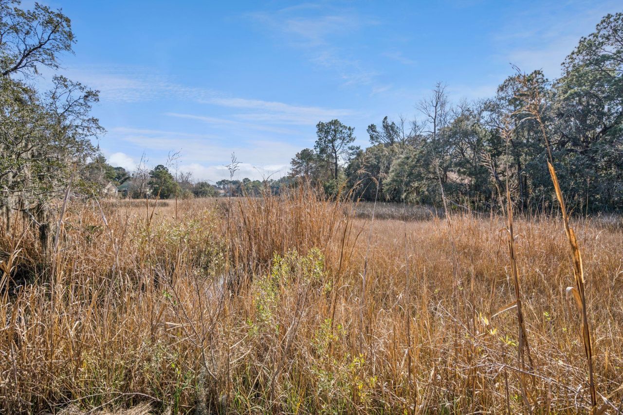 9 Arabian Drive Photo 98