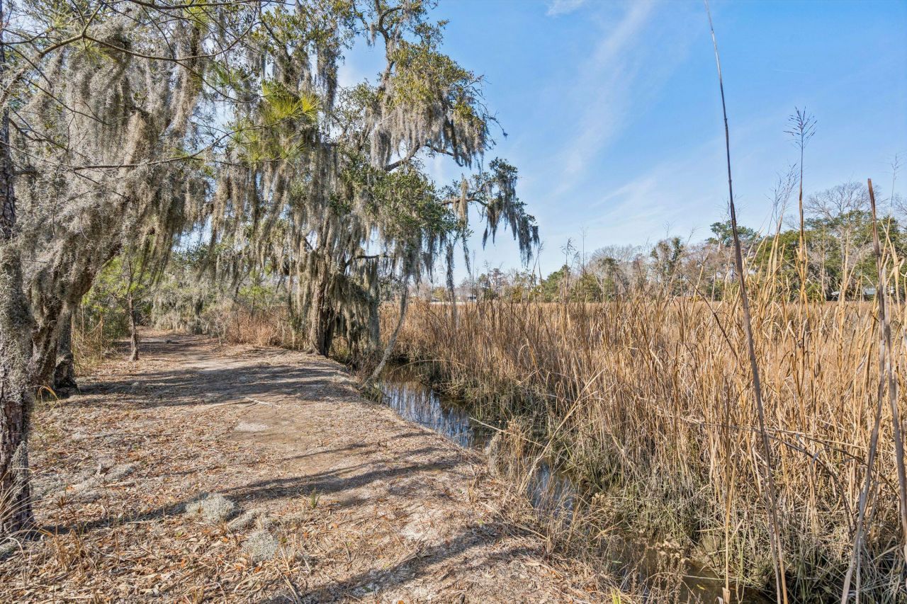 9 Arabian Drive Photo 99