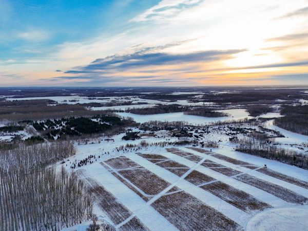 453XX Co Hwy 67 [C] , New York Mills, MN 56567