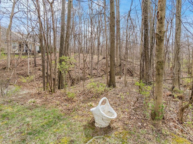 4827 Saint Medan Drive, Westerville, OH 43082 Photo 61