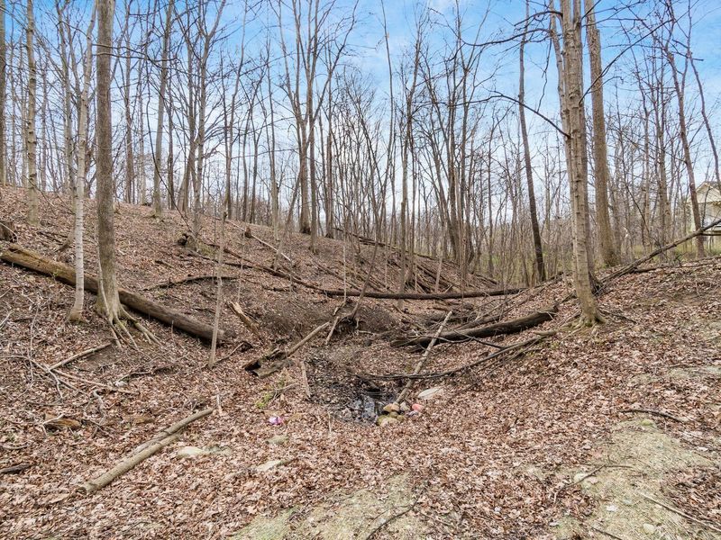 4827 Saint Medan Drive, Westerville, OH 43082 Photo 62