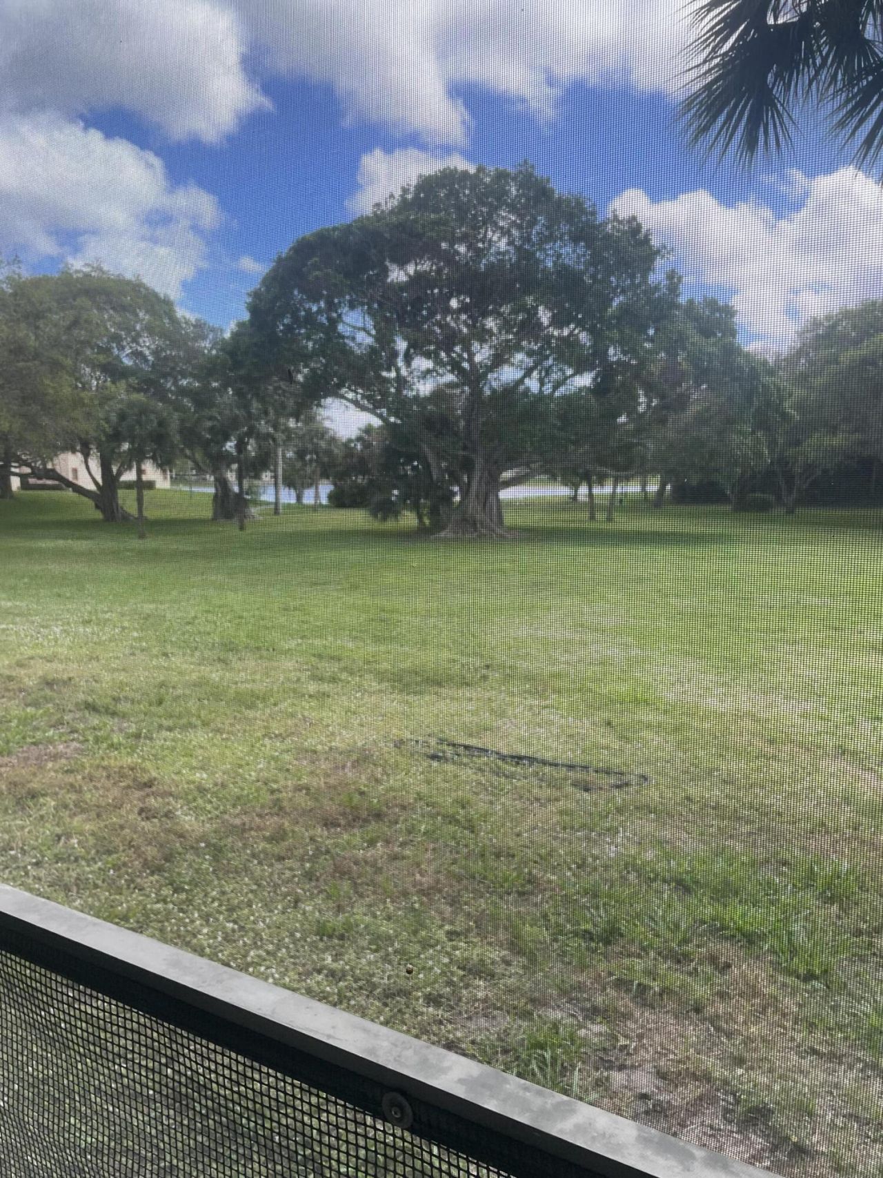 3355 Jaywood Terrace, Unit J113, Boca Raton, FL 33431 Photo