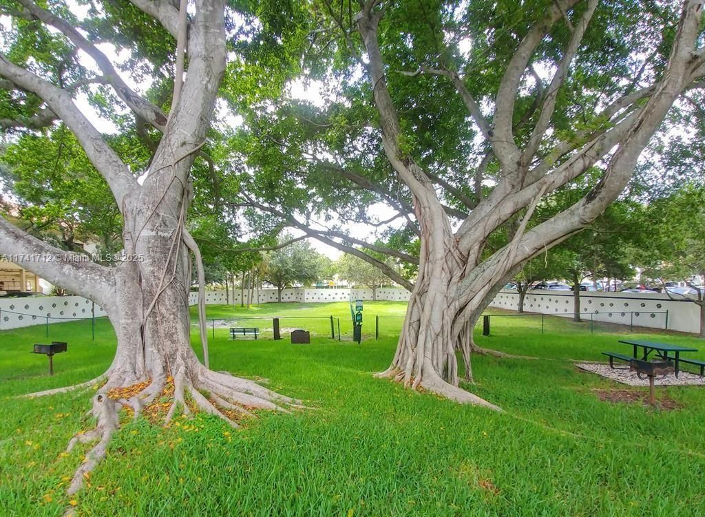 3355 Jaywood Terrace, Unit J113, Boca Raton, FL 33431 Photo