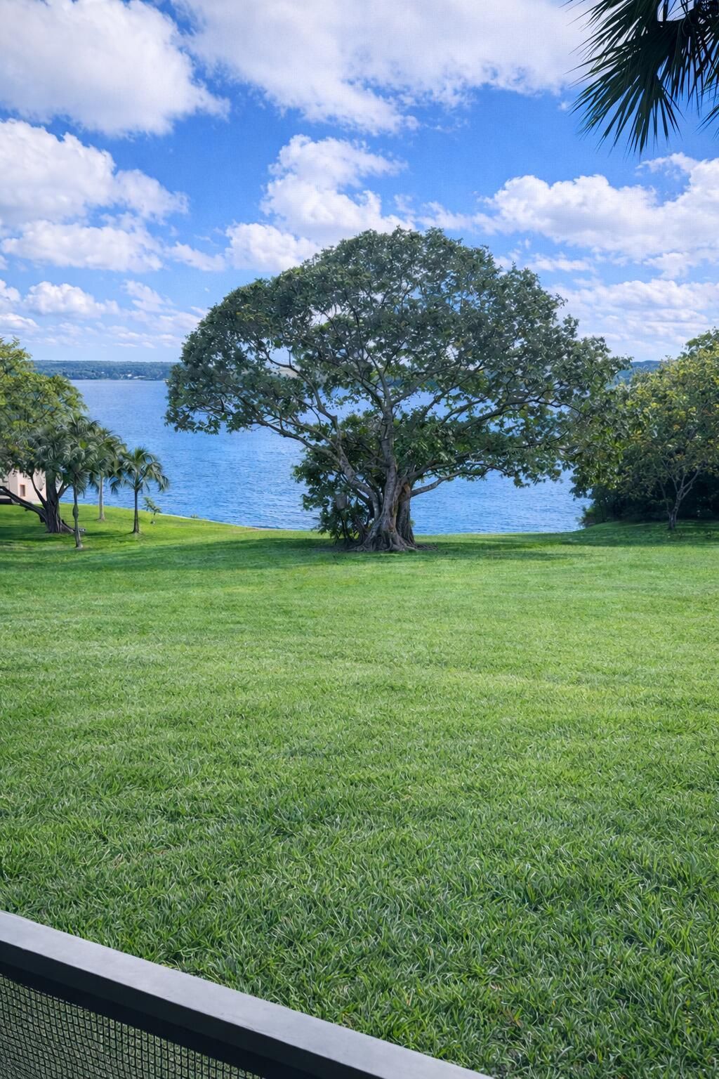 3355 Jaywood Terrace, Unit J113, Boca Raton, FL 33431 Photo