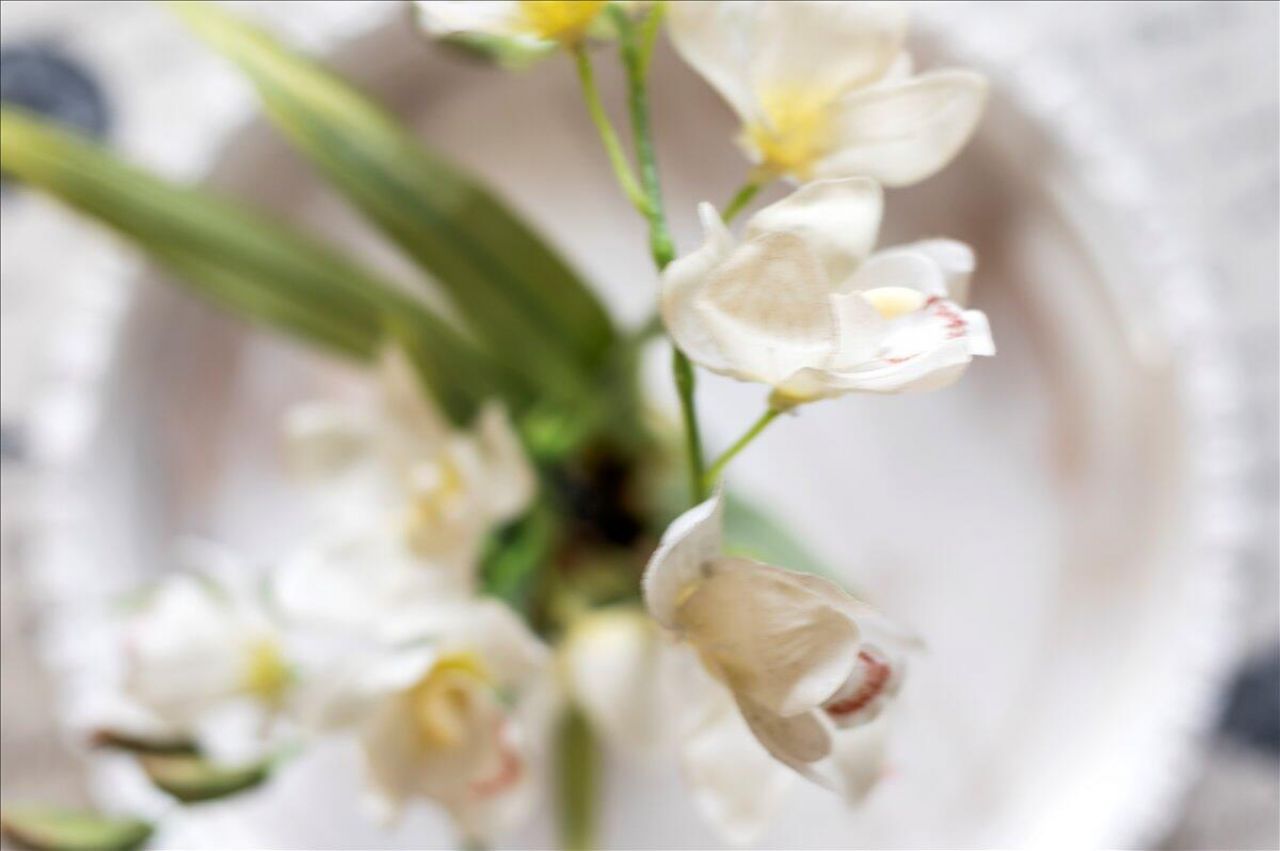 1605 S Us Highway 1, Unit A303, Jupiter, FL 33477 Photo