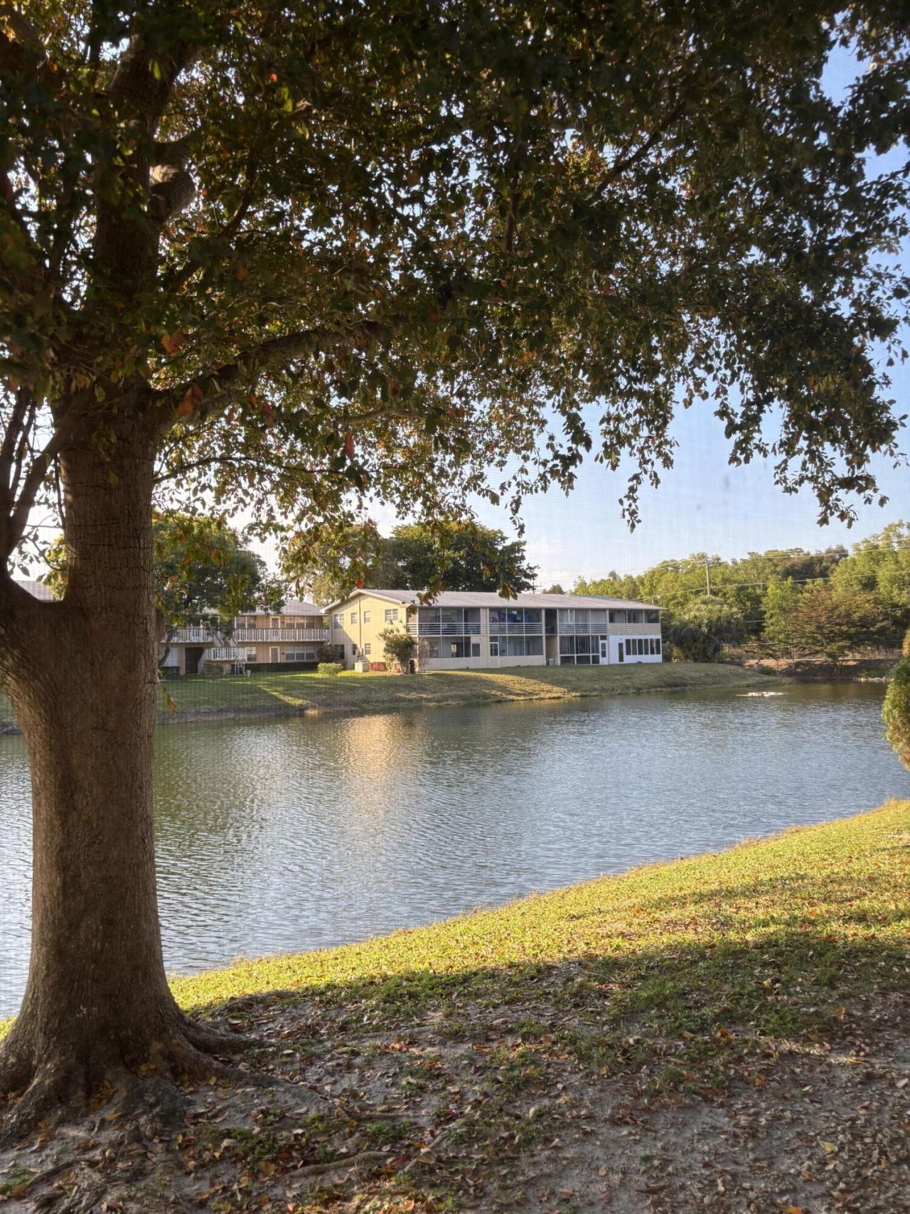 75 Sheffield D, West Palm Beach, FL 33417 Photo