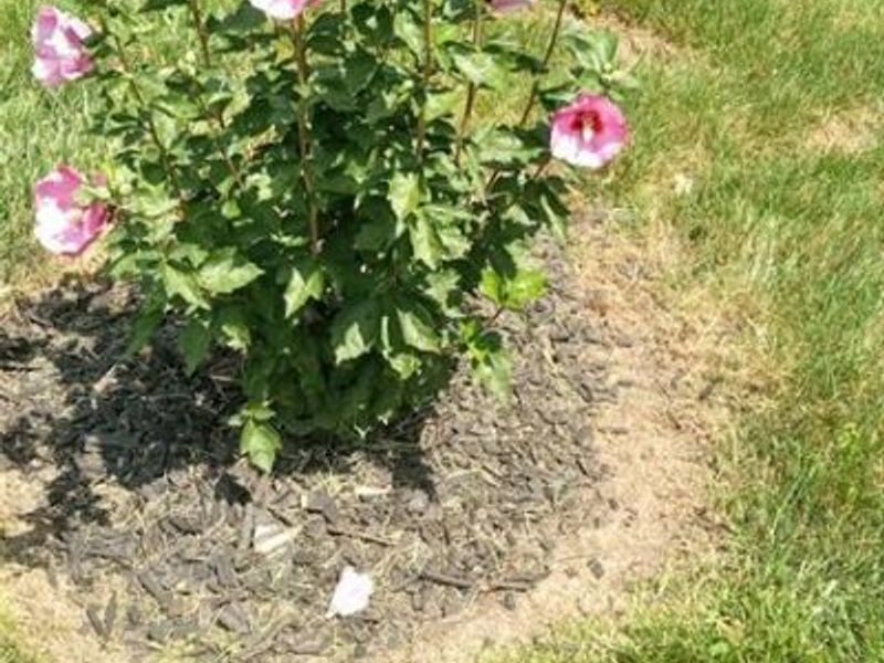 5071 Seville Drive, Englewood, OH 45322 Photo 22