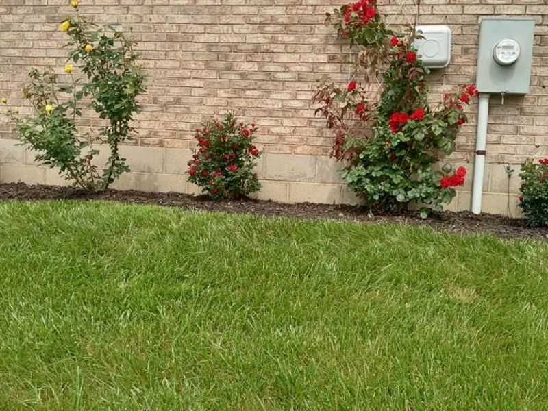 5071 Seville Drive, Englewood, OH 45322 Photo 23