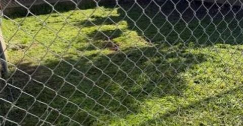 4112-4114 8th Ave, Sacramento, CA 95817 Photo