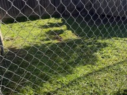 4112-4114 8th Ave, Sacramento, CA 95817 Photo