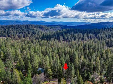 593 Avery Sheep Ranch Rd, Avery, CA 95224 Photo