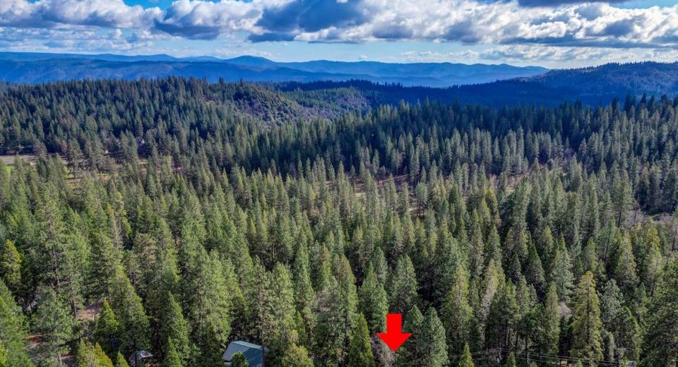 593 Avery Sheep Ranch Rd, Avery, CA 95224 Photo