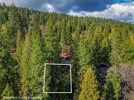 593 Avery Sheep Ranch Rd, Avery, CA 95224 Photo