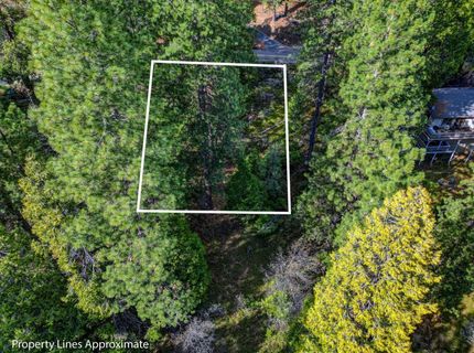 593 Avery Sheep Ranch Rd, Avery, CA 95224 Photo