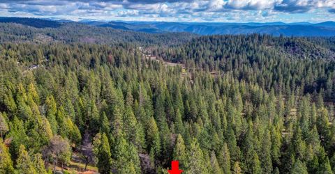 593 Avery Sheep Ranch Rd, Avery, CA 95224 Photo
