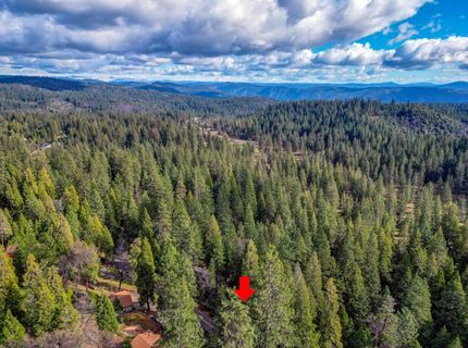 593 Avery Sheep Ranch Rd, Avery, CA 95224 Photo