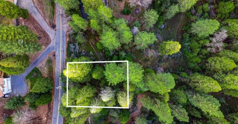 593 Avery Sheep Ranch Rd, Avery, CA 95224 Photo
