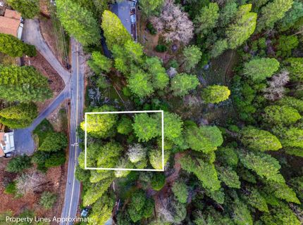 593 Avery Sheep Ranch Rd, Avery, CA 95224 Photo