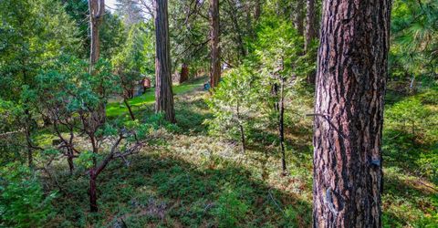 593 Avery Sheep Ranch Rd, Avery, CA 95224 Photo