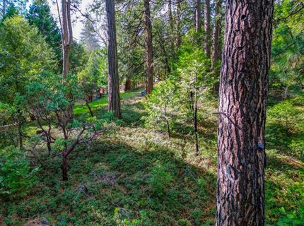 593 Avery Sheep Ranch Rd, Avery, CA 95224 Photo