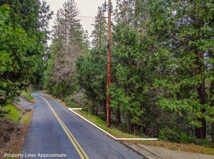 593 Avery Sheep Ranch Rd, Avery, CA 95224 Photo