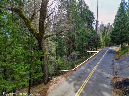 593 Avery Sheep Ranch Rd, Avery, CA 95224 Photo