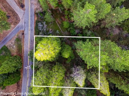 593 Avery Sheep Ranch Rd, Avery, CA 95224 Photo