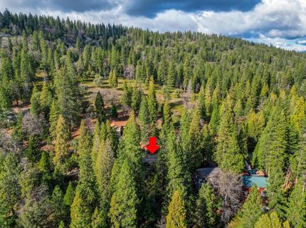 593 Avery Sheep Ranch Rd, Avery, CA 95224 Photo