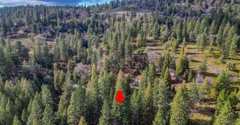 593 Avery Sheep Ranch Rd, Avery, CA 95224 Photo