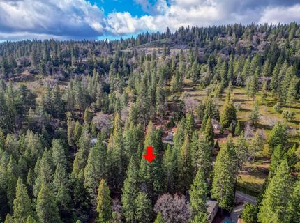 593 Avery Sheep Ranch Rd, Avery, CA 95224 Photo