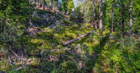 593 Avery Sheep Ranch Rd, Avery, CA 95224 Photo
