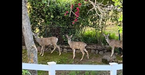 5593 Baldwin St, Valley Springs, CA 95252 Photo