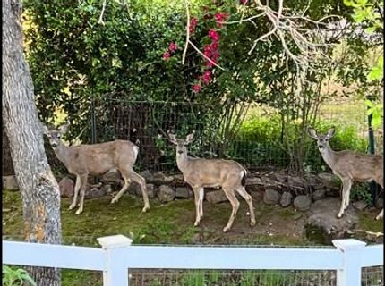 5593 Baldwin St, Valley Springs, CA 95252 Photo