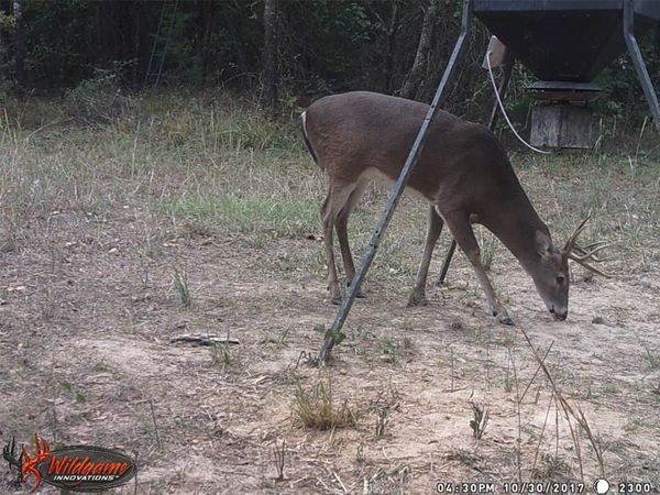 139 NW County Road, Unit 1061, Talco, TX 75487