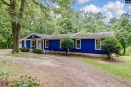 1253 Syrup Mill Road photo 4