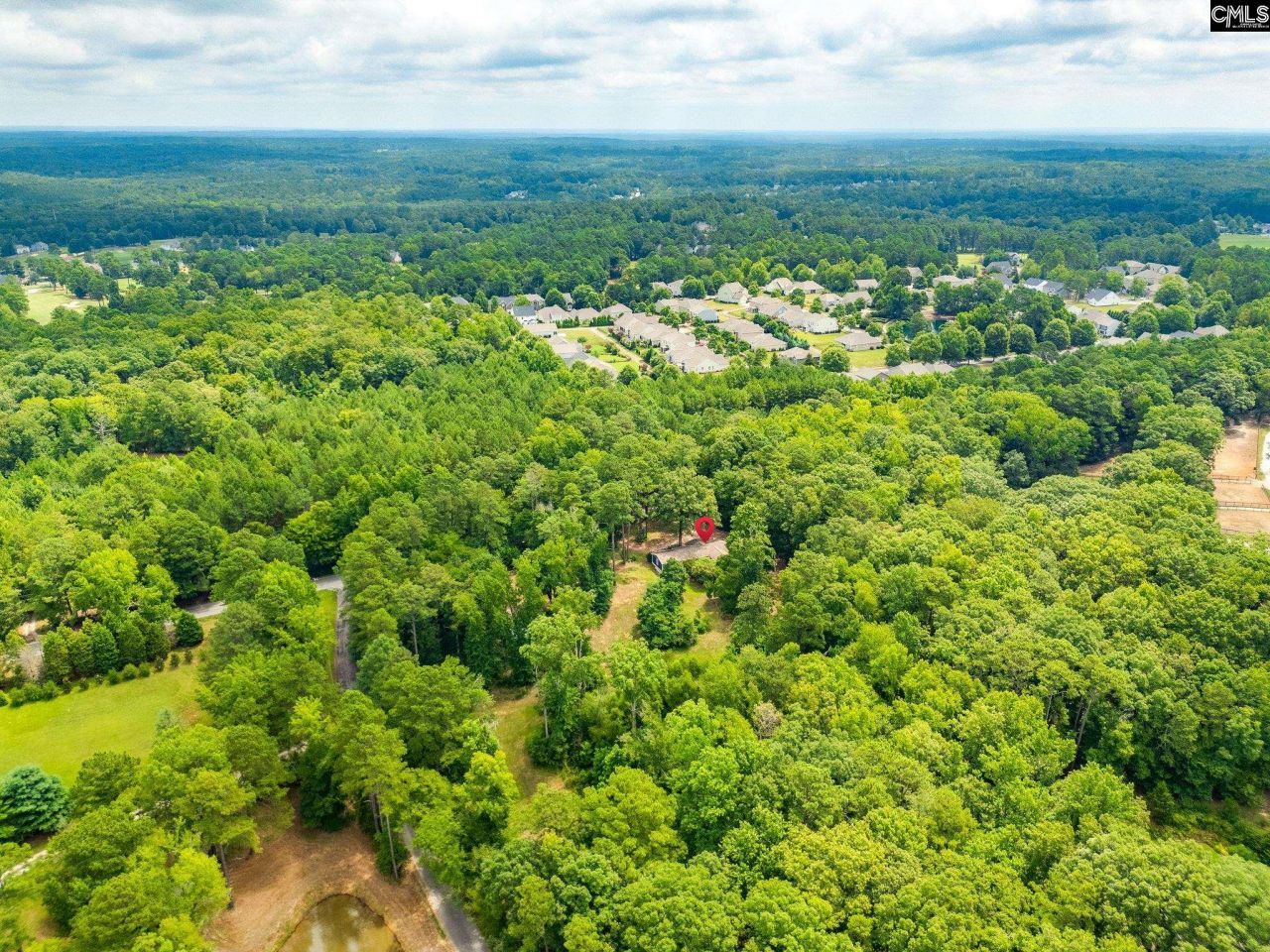 1253 Syrup Mill Road Photo 36