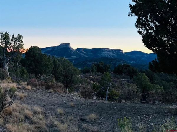 TBD Road 35.3, Mancos, CO 81328