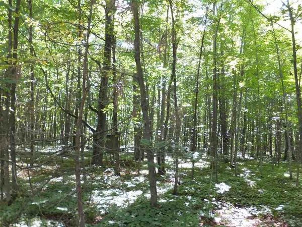 Haze Road, Beulah, MI 49617