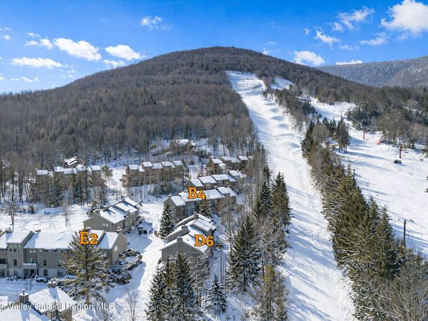 64 Highlands Drive, Unit D6, Hunter, NY 12442