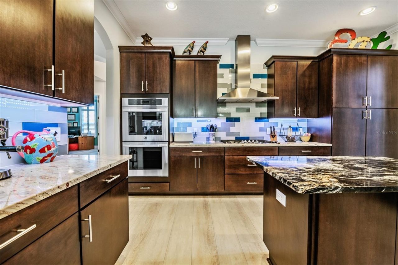 3332 Anna George Drive, Valrico, FL 33596 Photo