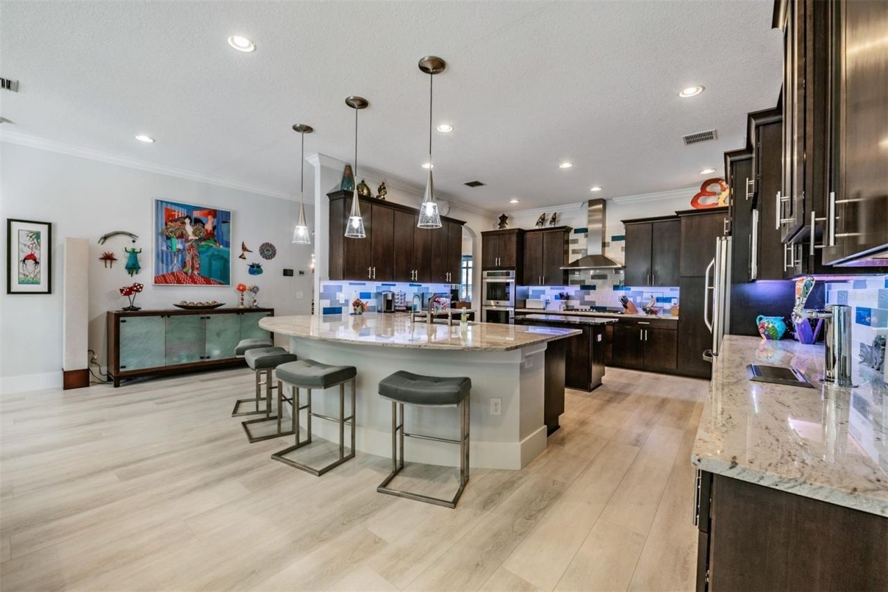 3332 Anna George Drive, Valrico, FL 33596 Photo