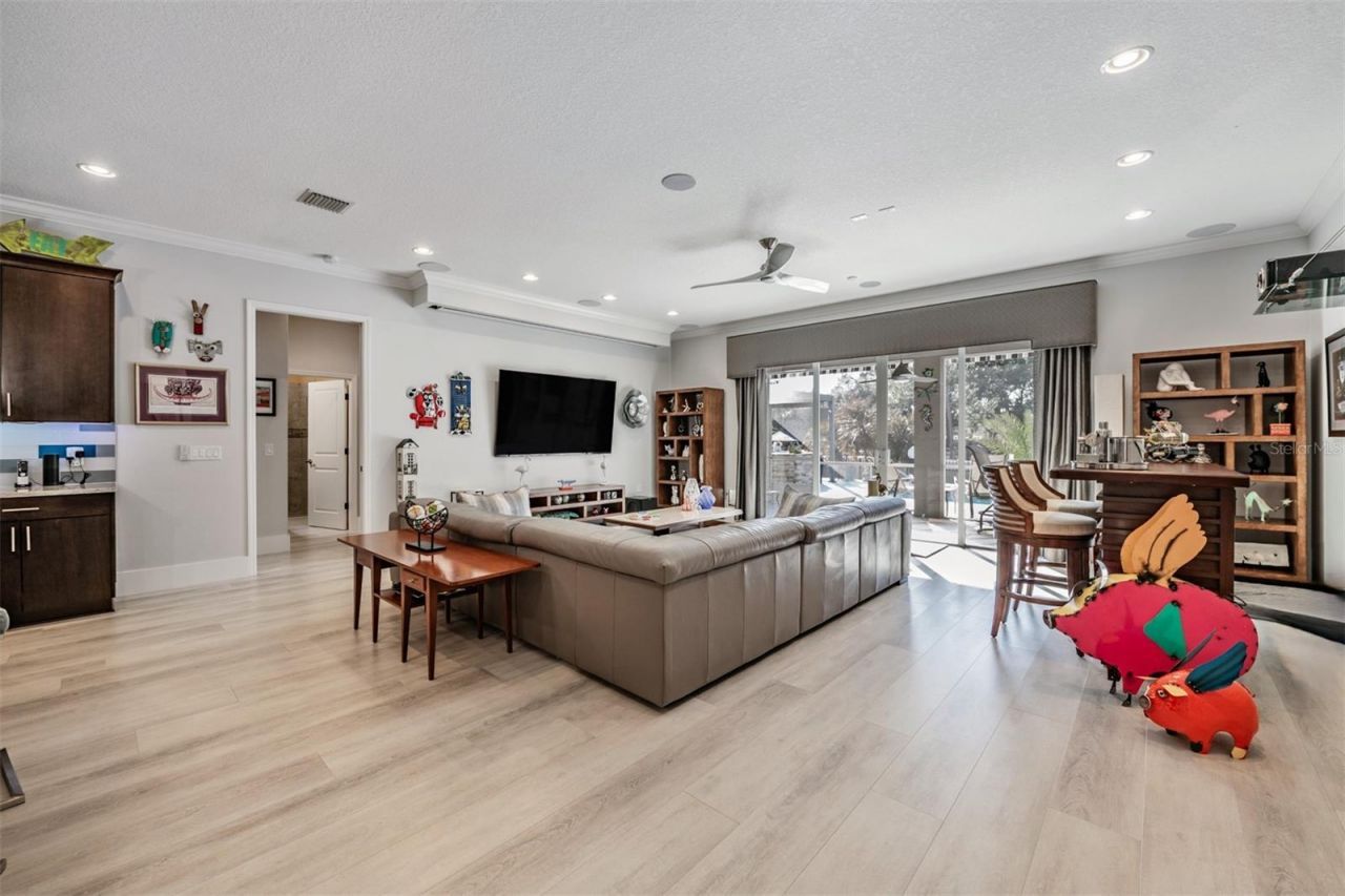 3332 Anna George Drive, Valrico, FL 33596 Photo