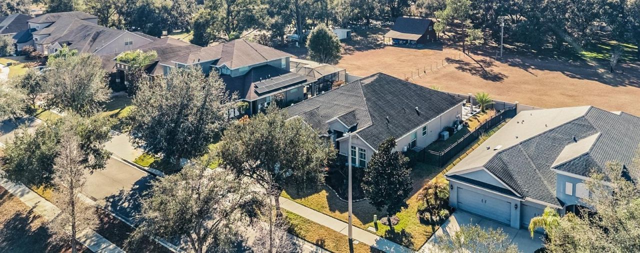 3332 Anna George Drive, Valrico, FL 33596 Photo